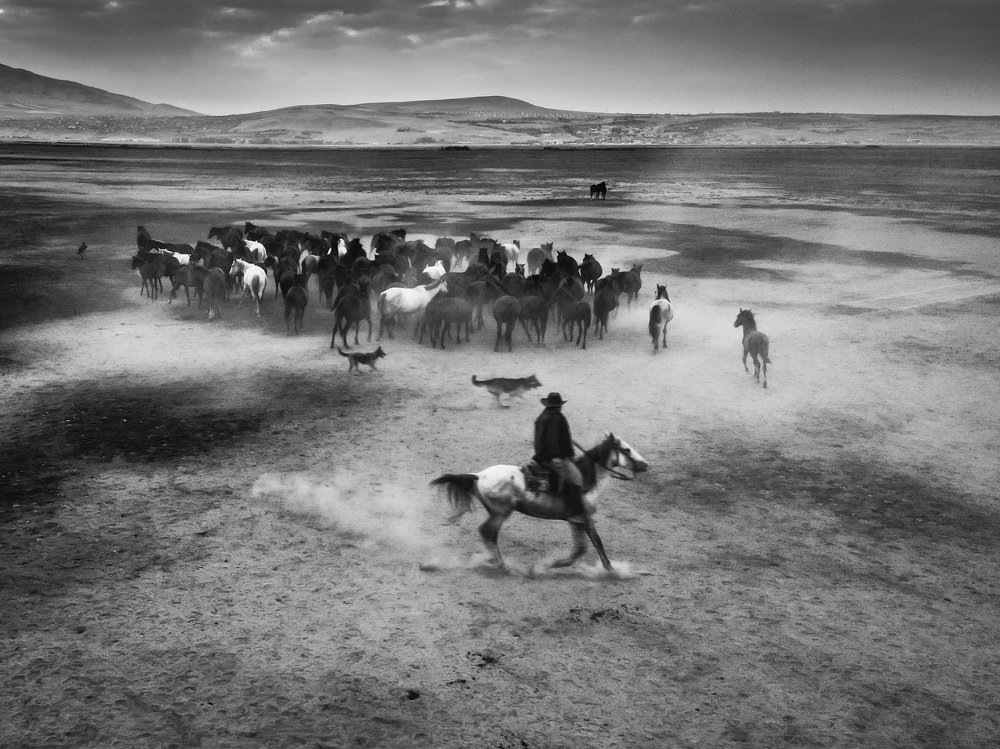 Photograph by Ionut Maga