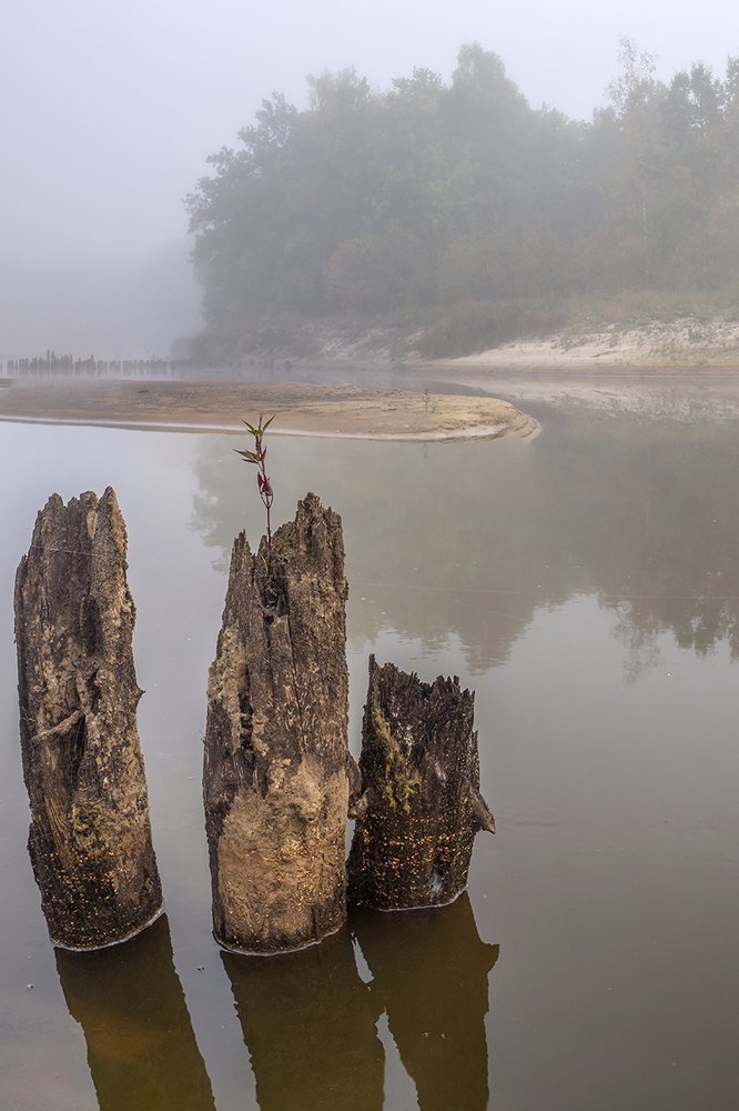 Photograph by Елена Бежина