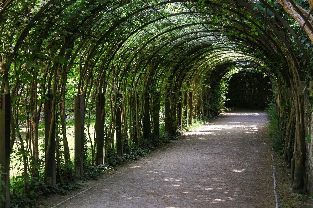 Photograph by Marina