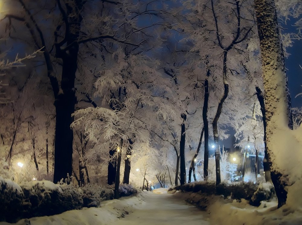 Photograph by 