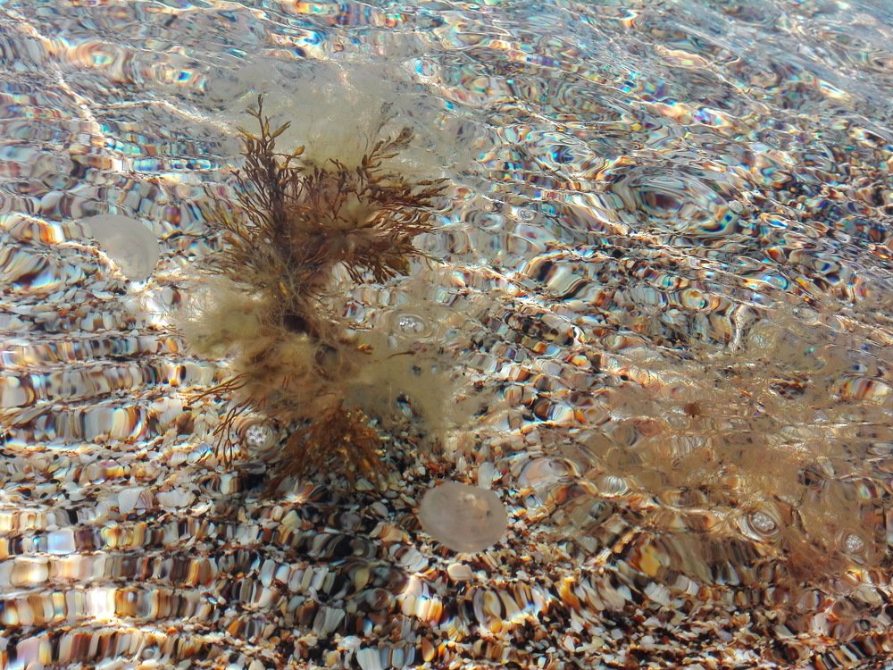 Photograph by Дмитрий Кондратьев