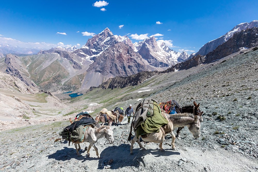 Photograph by Alisher Primkulov