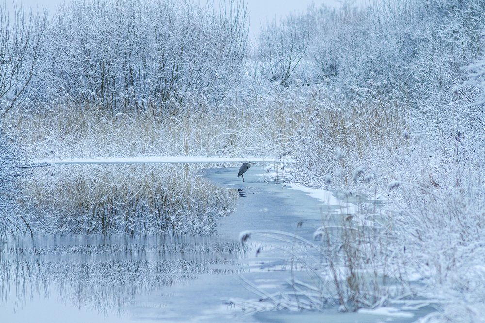 Photograph by Борис Белчев