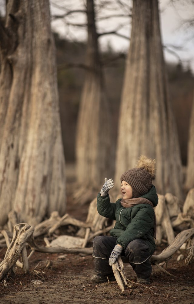 Чудесные кипарисы в солнечный день