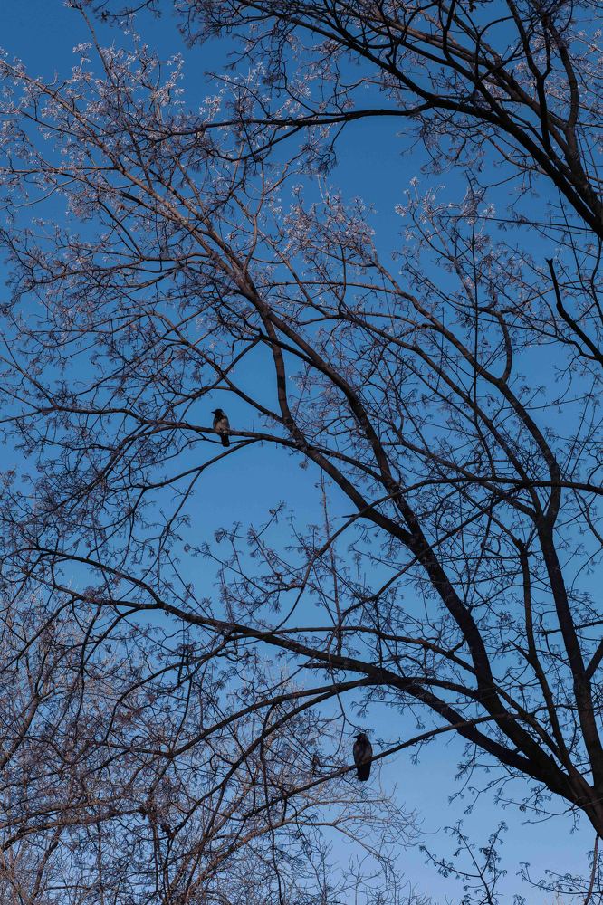 Photograph by Светлана Кавказская