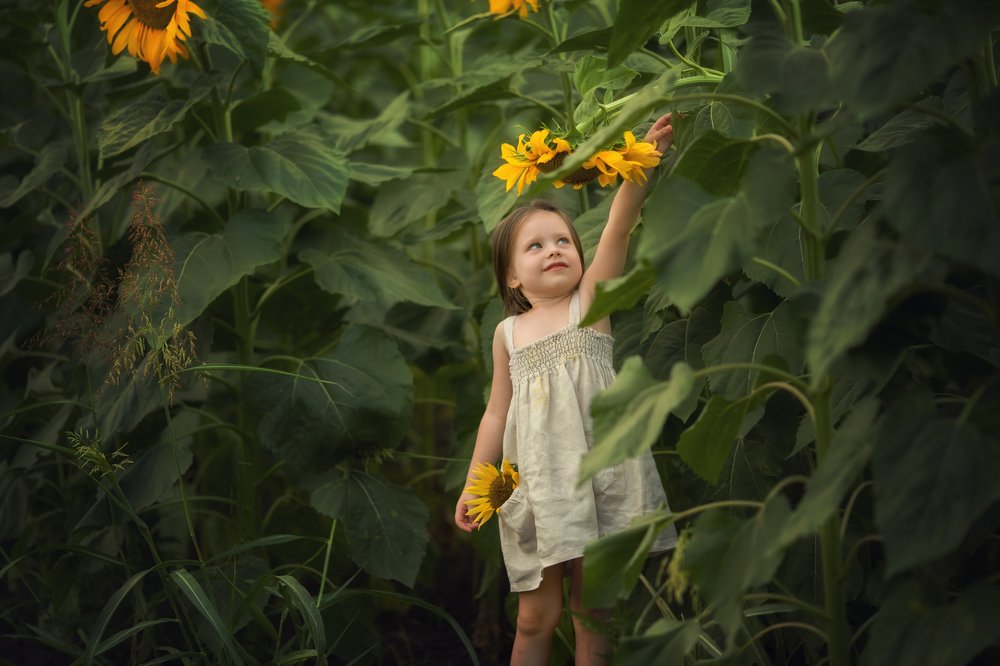 Фотография автора Dora Oksana