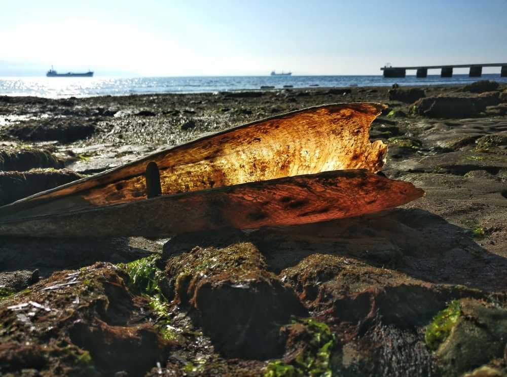 Фотография автора Денис Кулешов