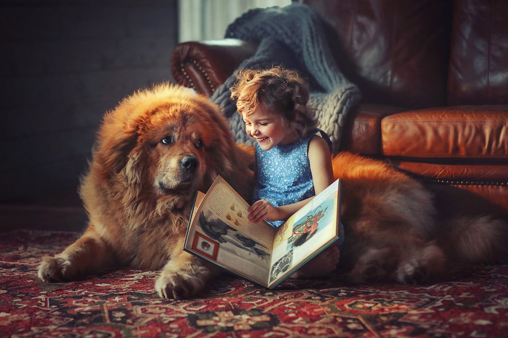 Мой большой мохнатый друг