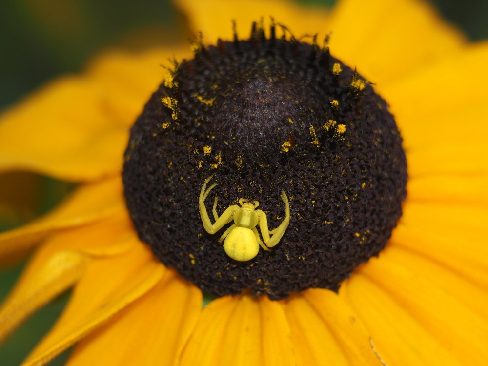 At the top of the world