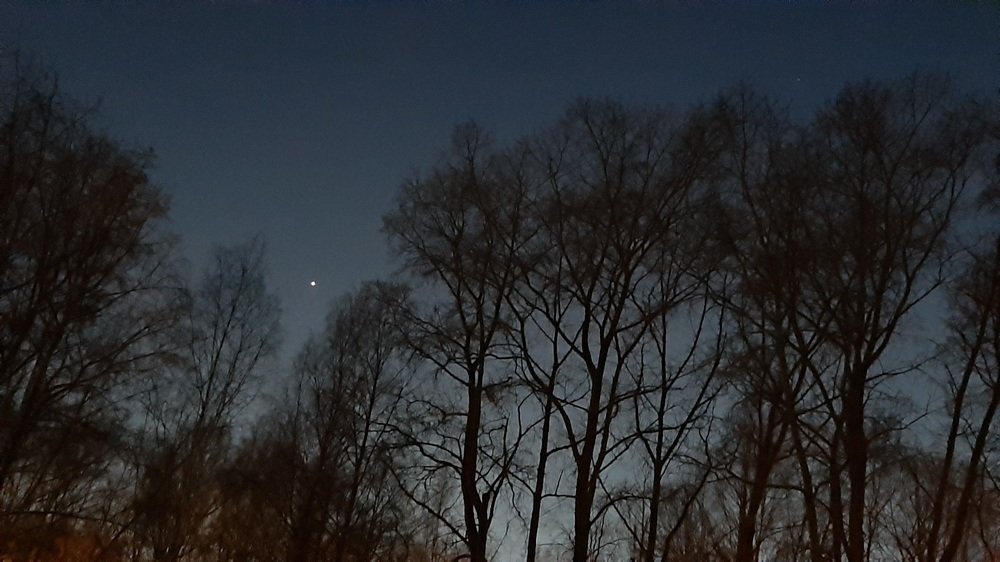 Photograph by Ольга