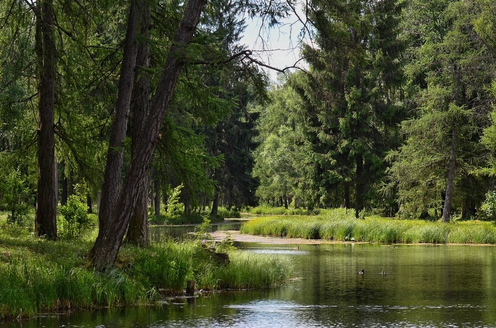 Photograph by Алексей Фомичев