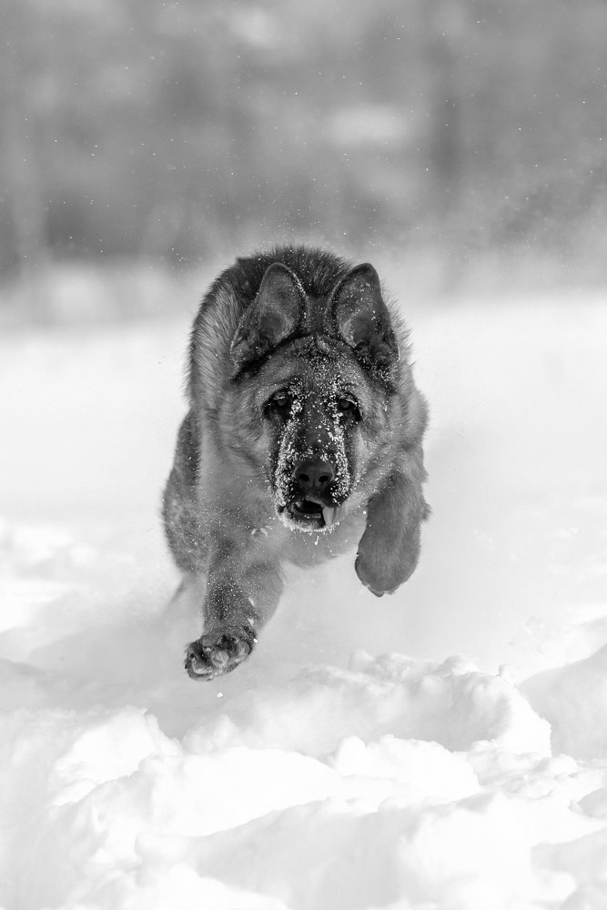 Photograph by Светлана