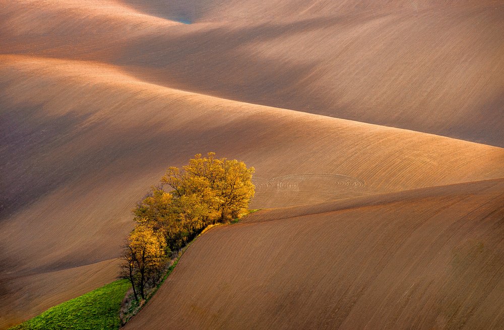 Осенняя Моравия