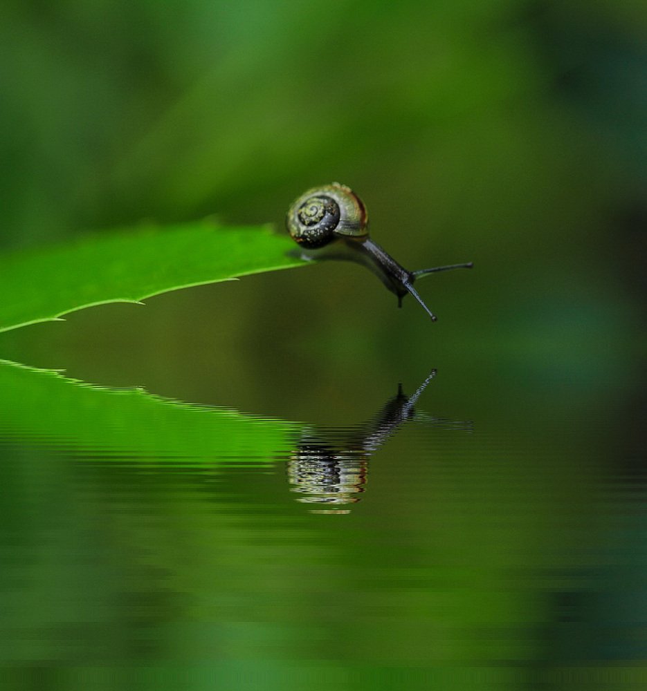 Photograph by Александра Юсупова