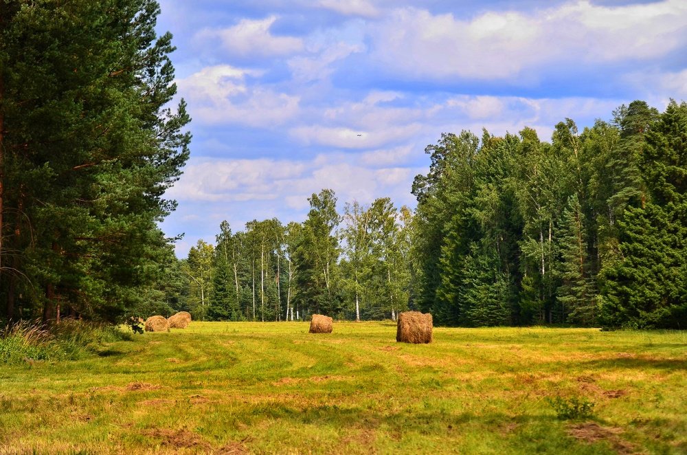 Photograph by Алексей Фомичев