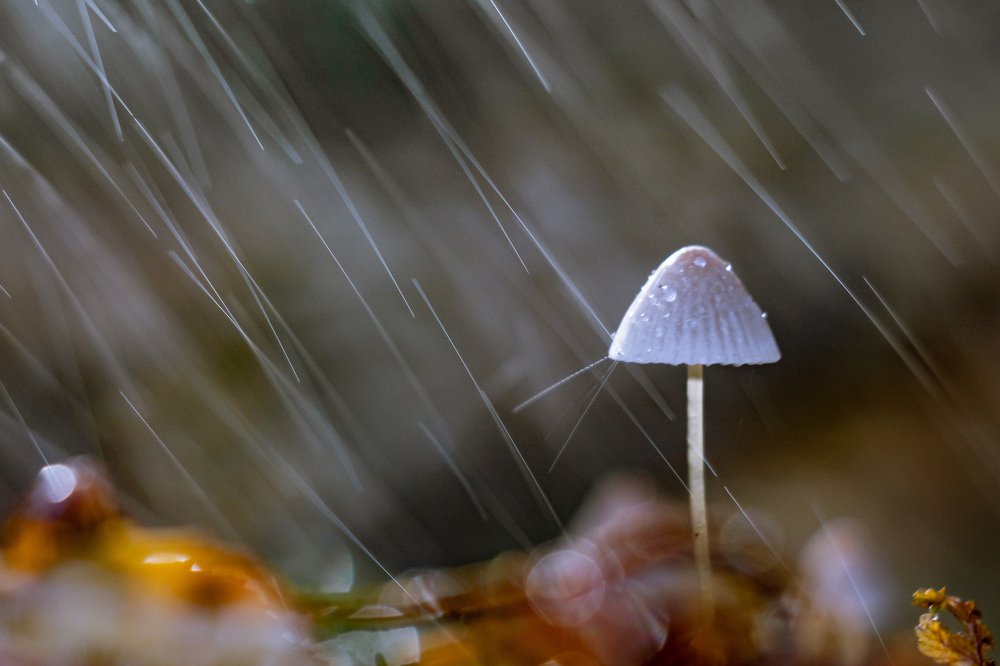 Photograph by Александра Юсупова