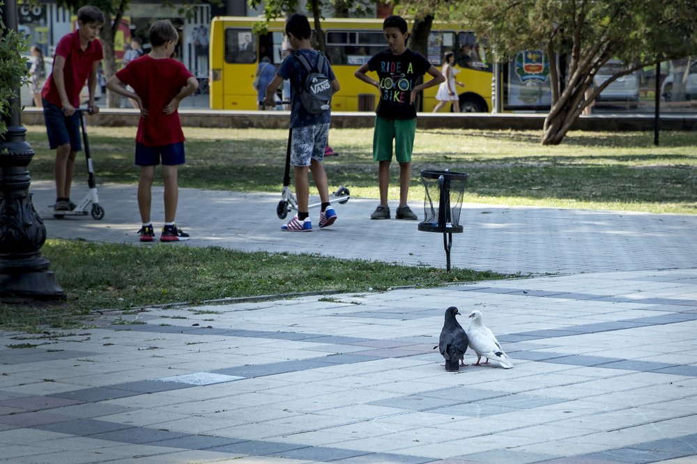 Жизнь в городе.
