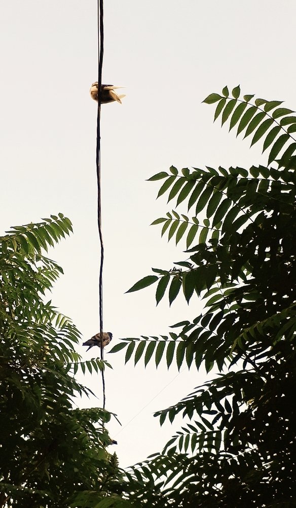 Только двое / Just two