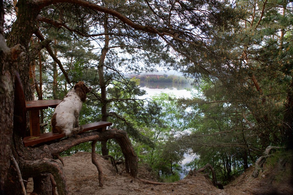 Photograph by Natali Duk