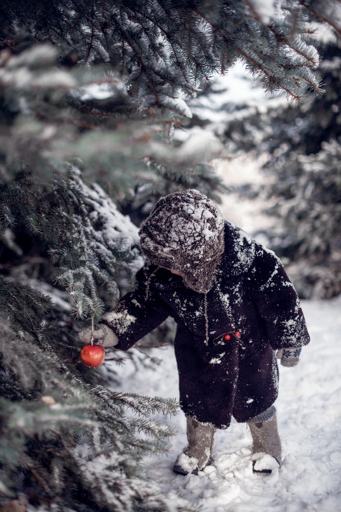 Photograph by Светлана Тетера