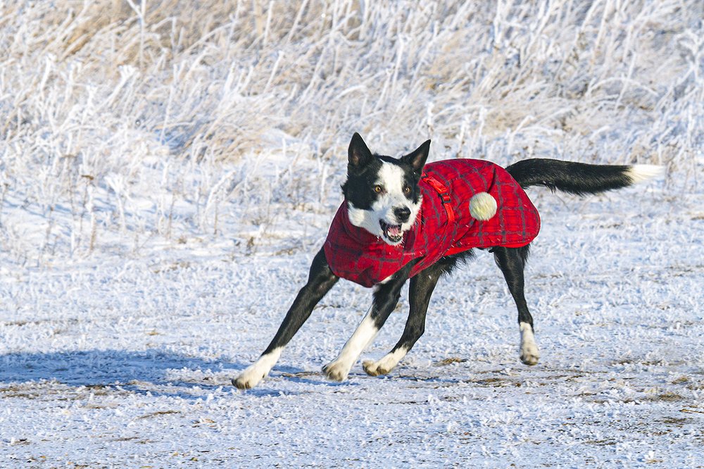 Photograph by Сергей Черных