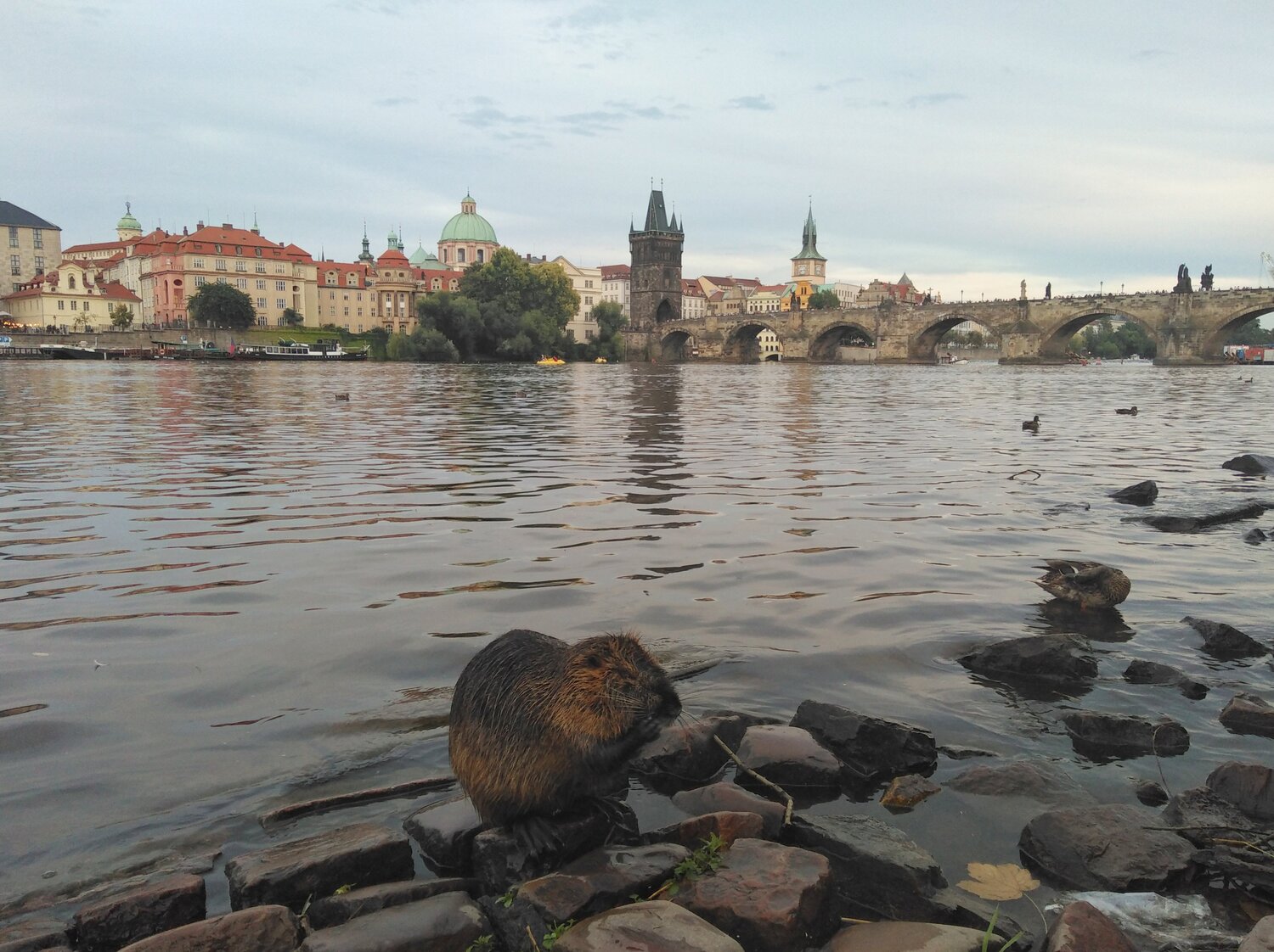 Прага