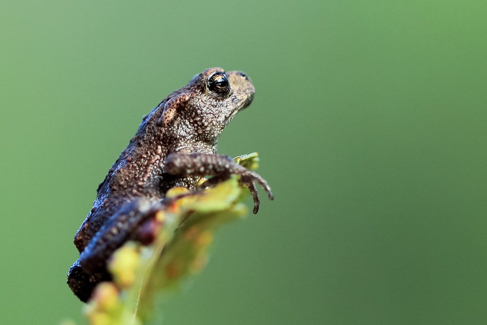 Photograph by Александра Юсупова