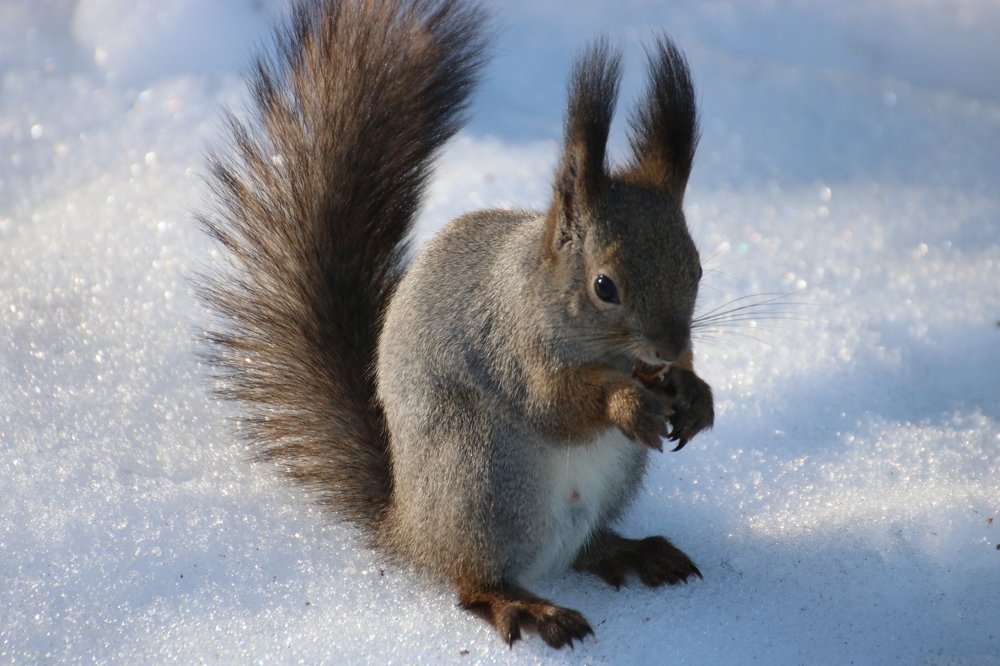 Photograph by Евгения Малафеева