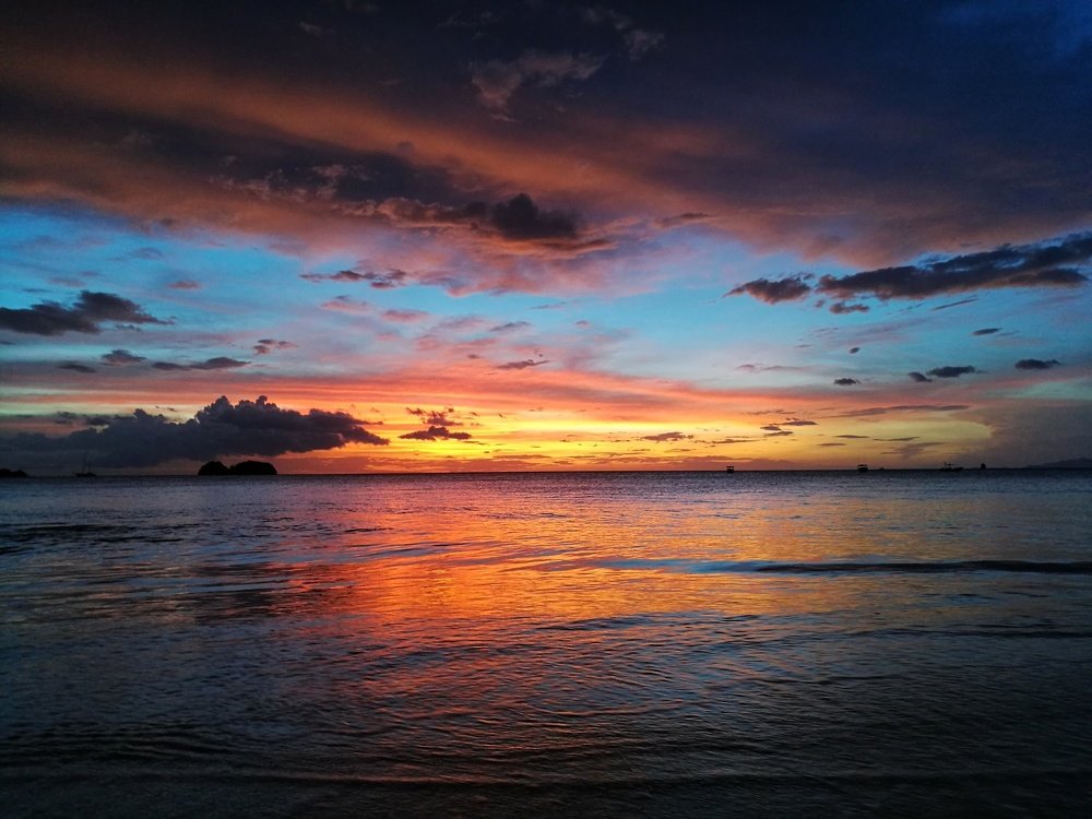 Photo #4418546