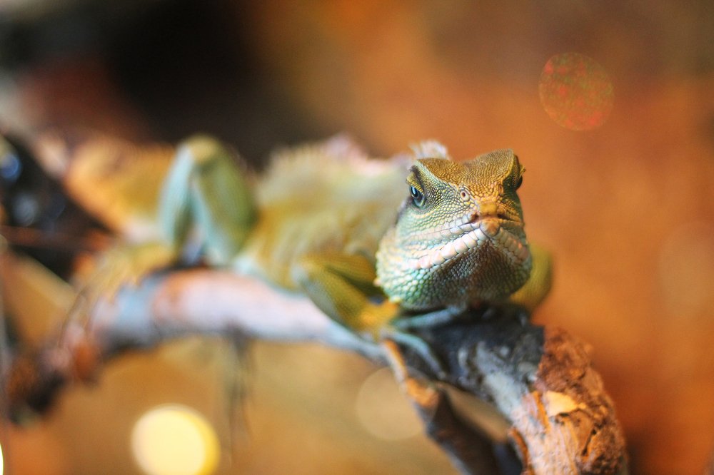 Photograph by Галина