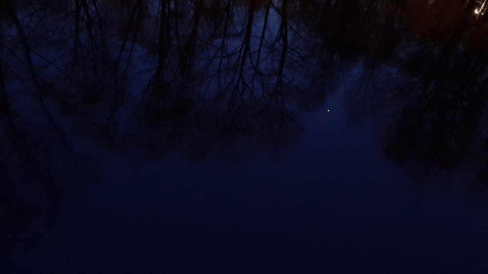 Photograph by Ольга