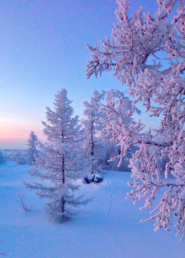 Photograph by Февралев Дмитрий