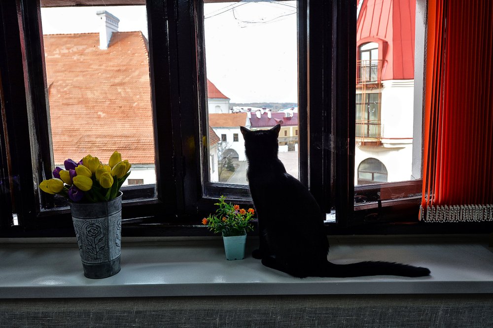 Фотография автора Виктор Журбенков