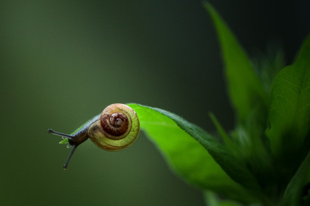 Photograph by Александра Юсупова