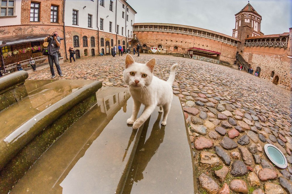 Photograph by Ян Хведчин