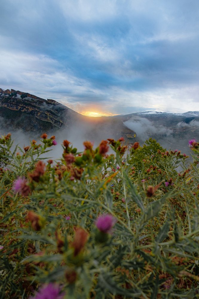 Photograph by Евгений Швец