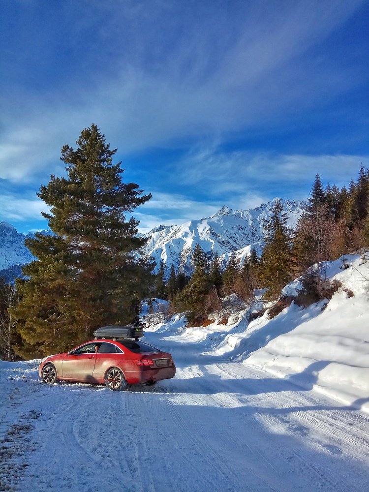 Photograph by Алла Холодова