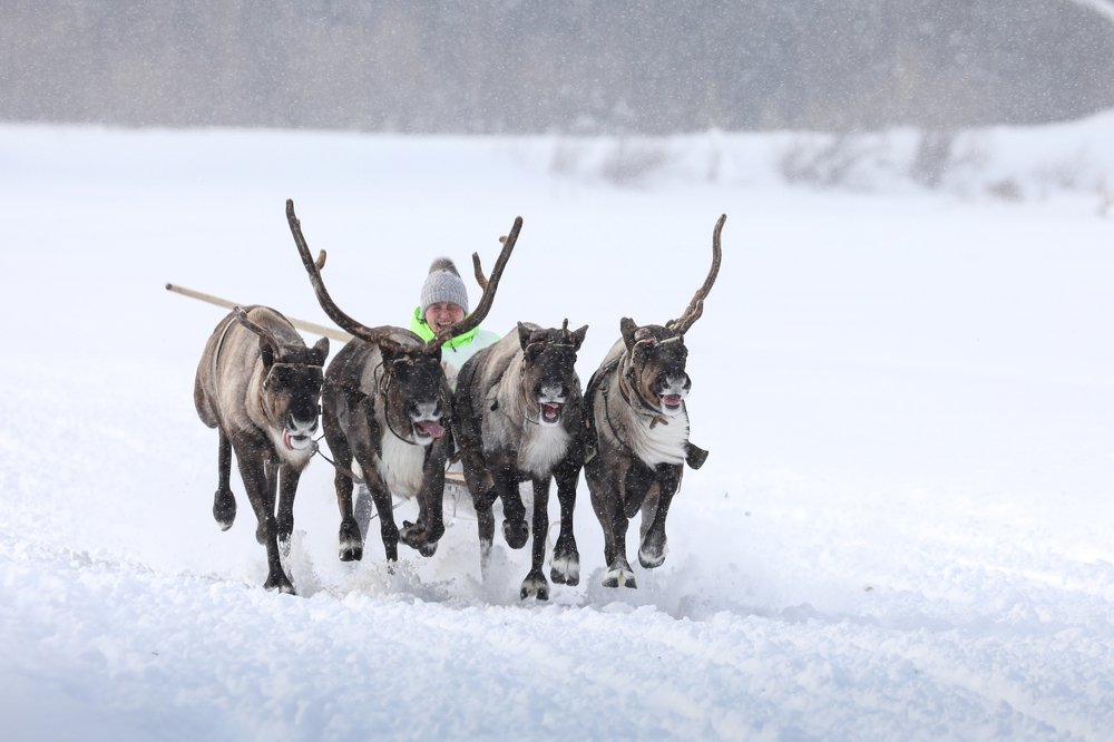С ветерком!
