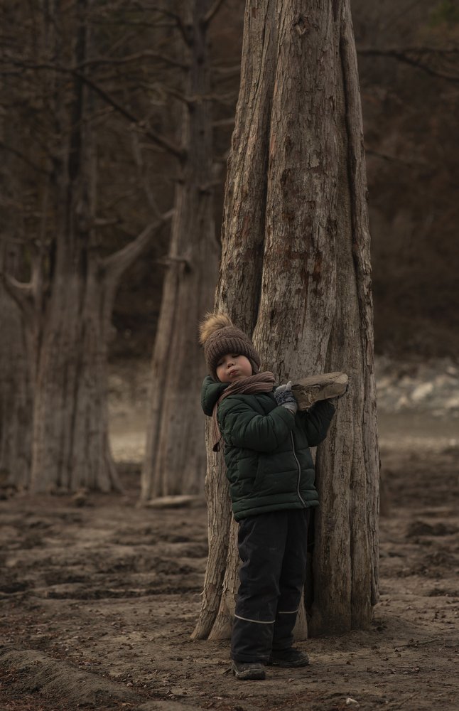 Таинственные кипарисы.