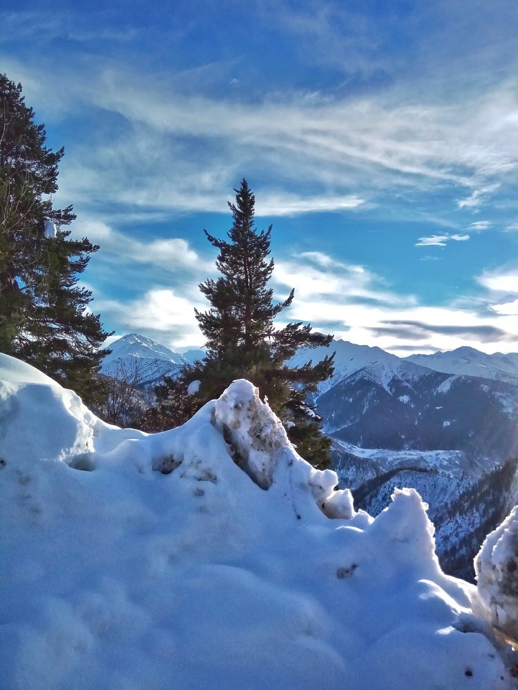 Photograph by Алла Холодова