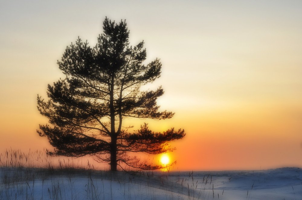 Photograph by Андрей