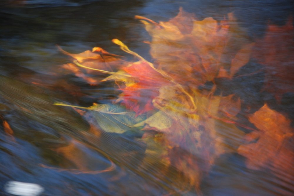 водная увертюра