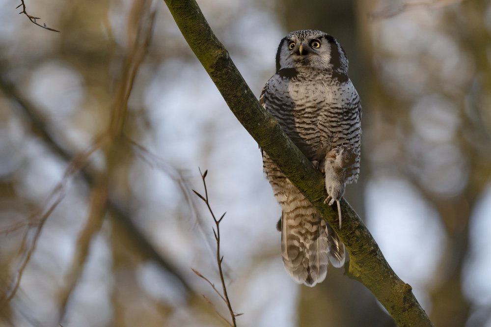 Photograph by Ernestas Balcikonis