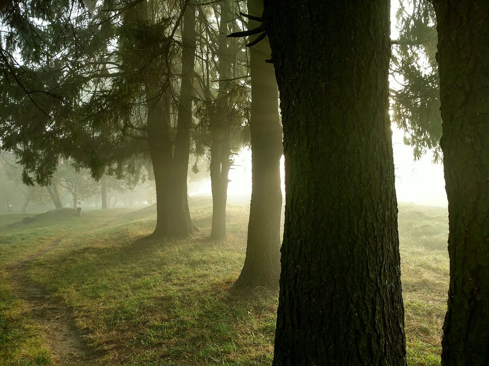 Photograph by Dzianis Mizhui