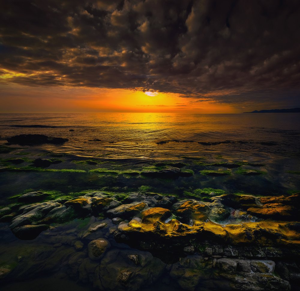 Фотография автора Алексей Бордуков