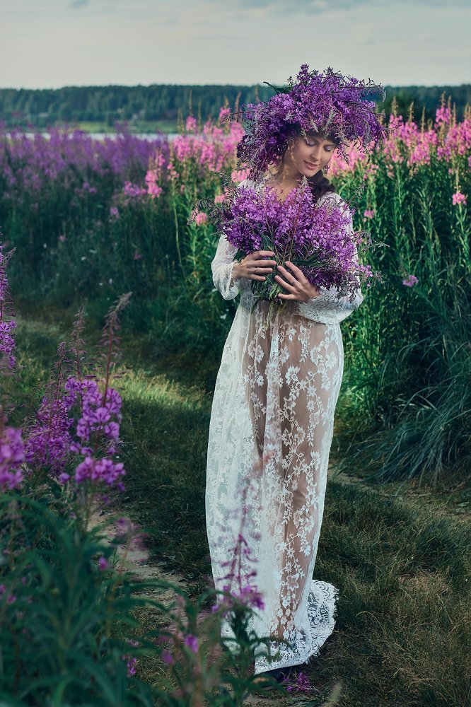 Кипрей цветёт