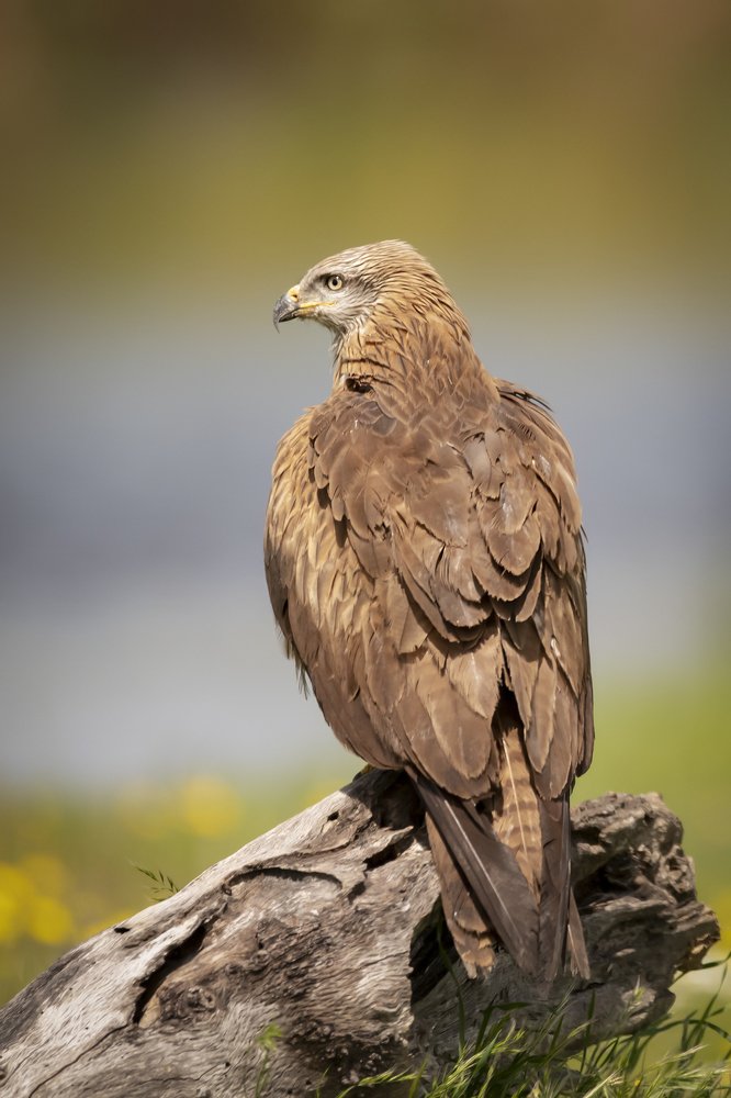 Photograph by Ernestas Balcikonis