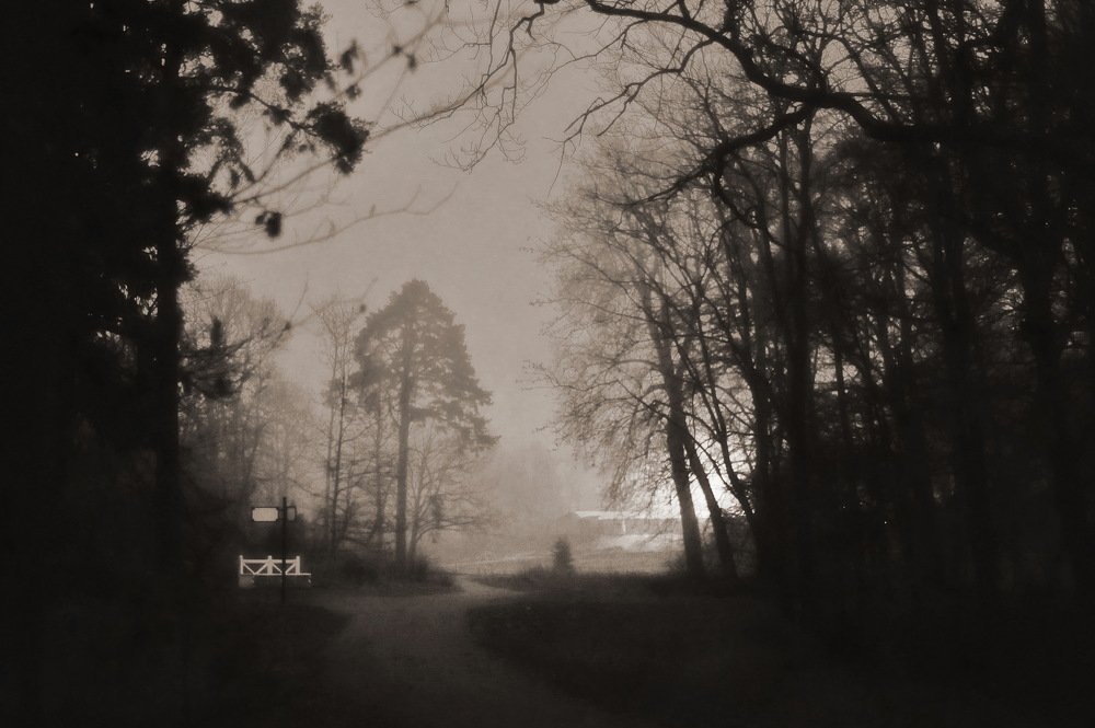 Photograph by Андрей