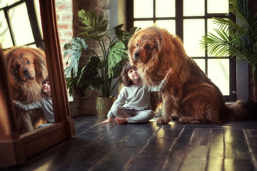 Фотография автора Мария Аксенова