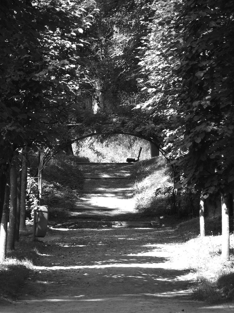 Фотография автора Владислава Андрюнина